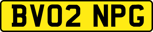BV02NPG