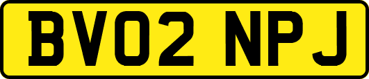 BV02NPJ