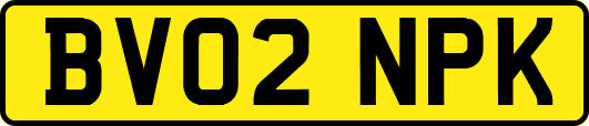 BV02NPK