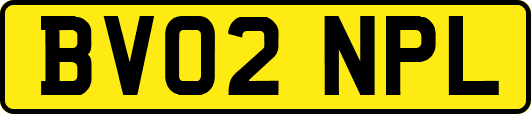 BV02NPL