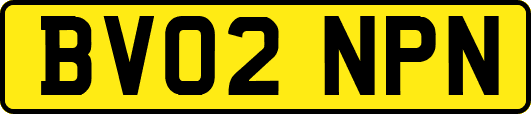 BV02NPN