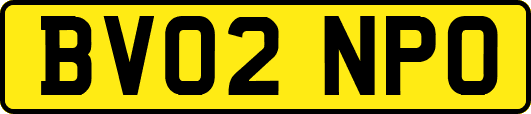 BV02NPO