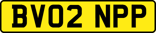 BV02NPP