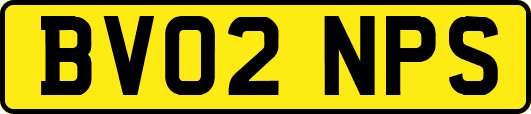 BV02NPS