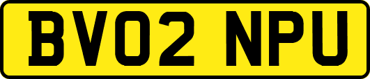 BV02NPU