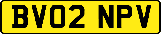BV02NPV