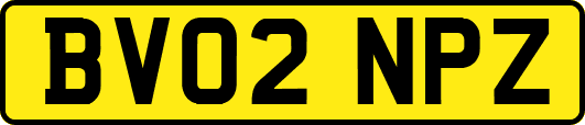 BV02NPZ