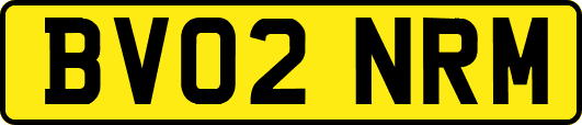 BV02NRM