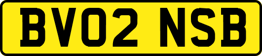 BV02NSB