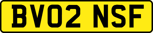 BV02NSF