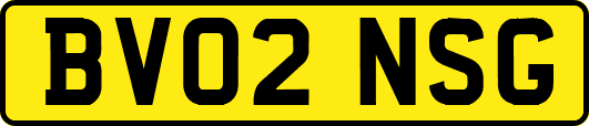 BV02NSG