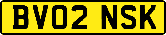 BV02NSK