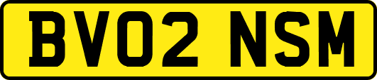 BV02NSM