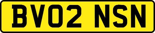 BV02NSN