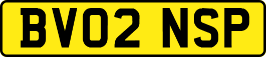 BV02NSP