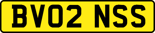 BV02NSS