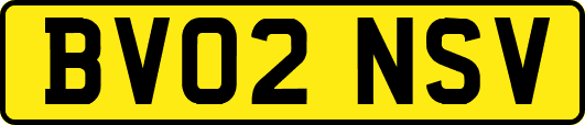 BV02NSV
