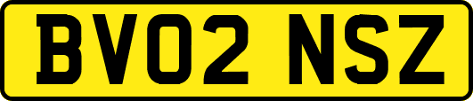 BV02NSZ