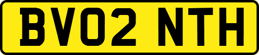 BV02NTH