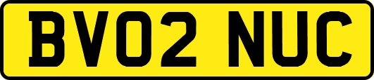BV02NUC