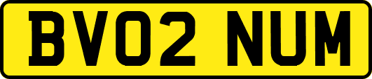 BV02NUM