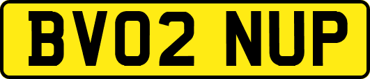 BV02NUP