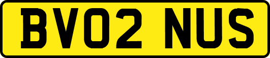 BV02NUS