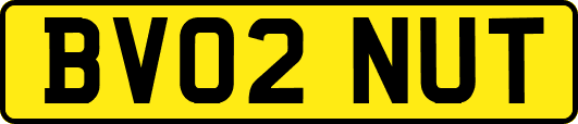 BV02NUT