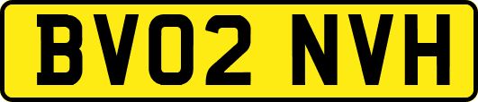 BV02NVH