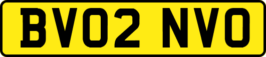 BV02NVO