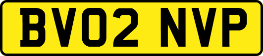 BV02NVP