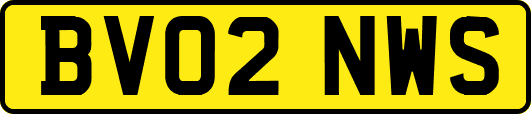 BV02NWS