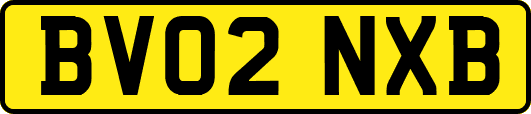 BV02NXB