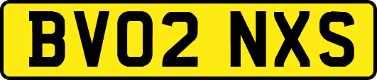 BV02NXS