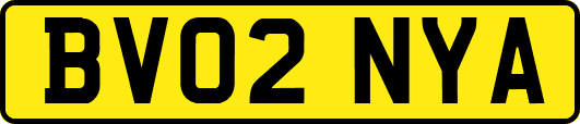 BV02NYA