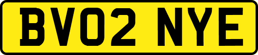 BV02NYE