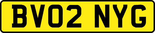 BV02NYG