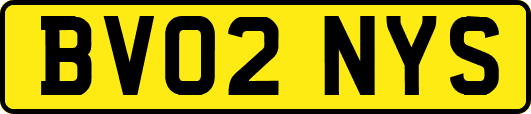 BV02NYS