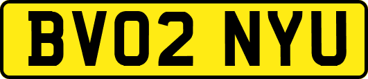 BV02NYU