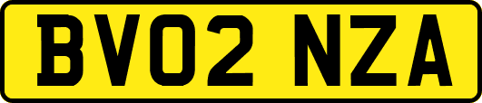 BV02NZA