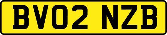 BV02NZB