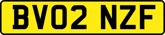 BV02NZF