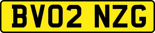 BV02NZG