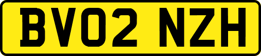 BV02NZH