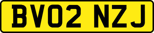 BV02NZJ