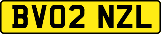 BV02NZL
