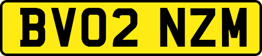 BV02NZM
