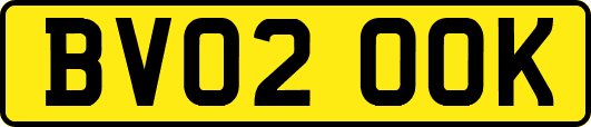 BV02OOK