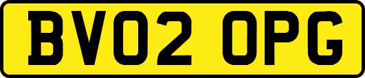 BV02OPG