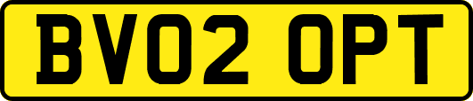 BV02OPT